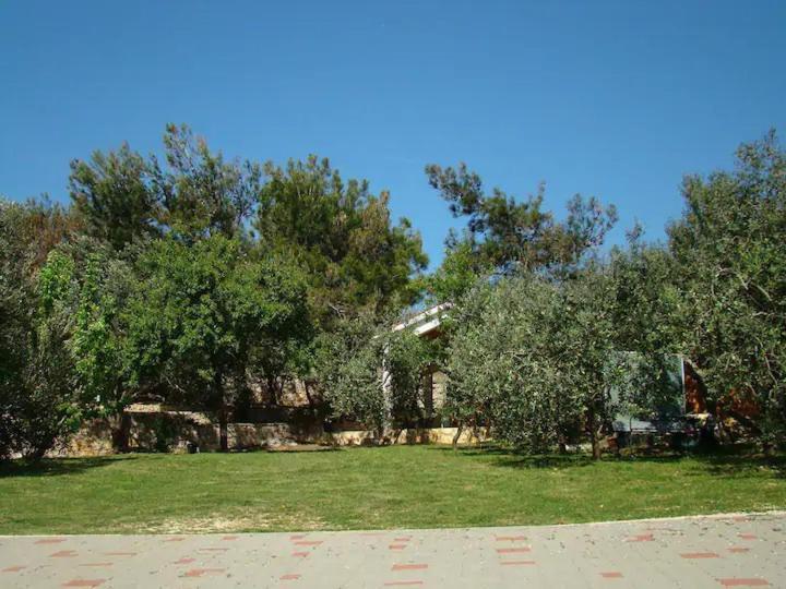 Davorka Šimuni