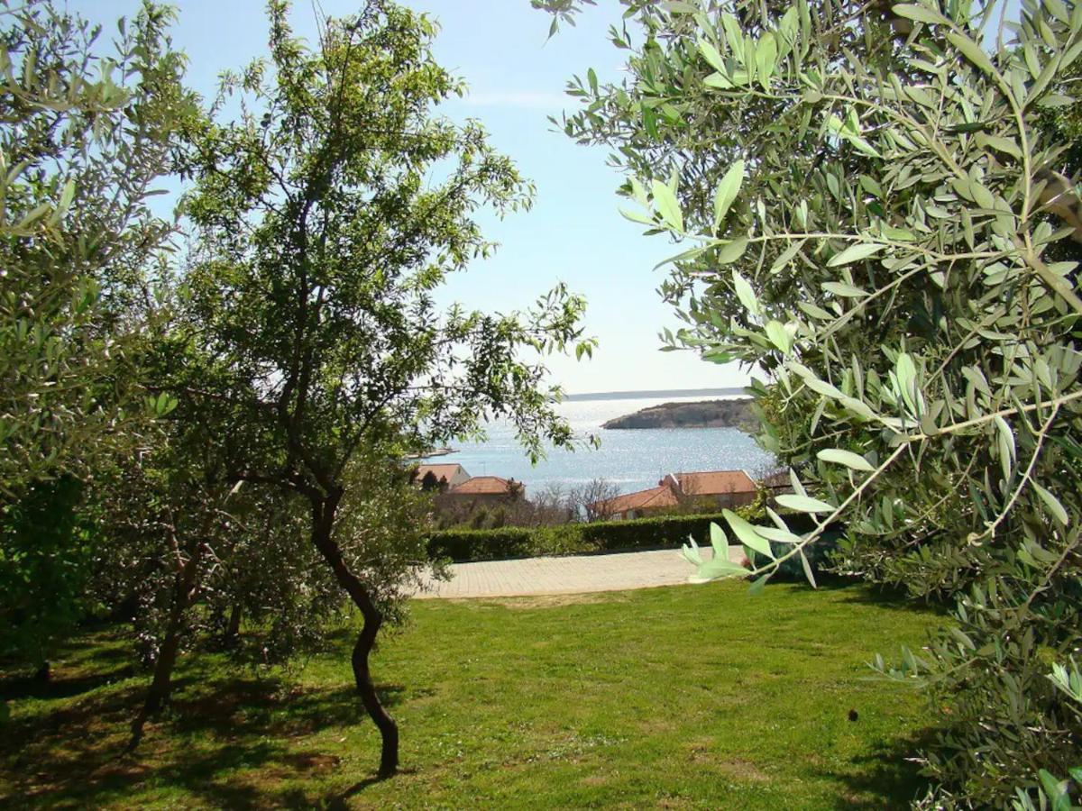 Davorka * Šimuni