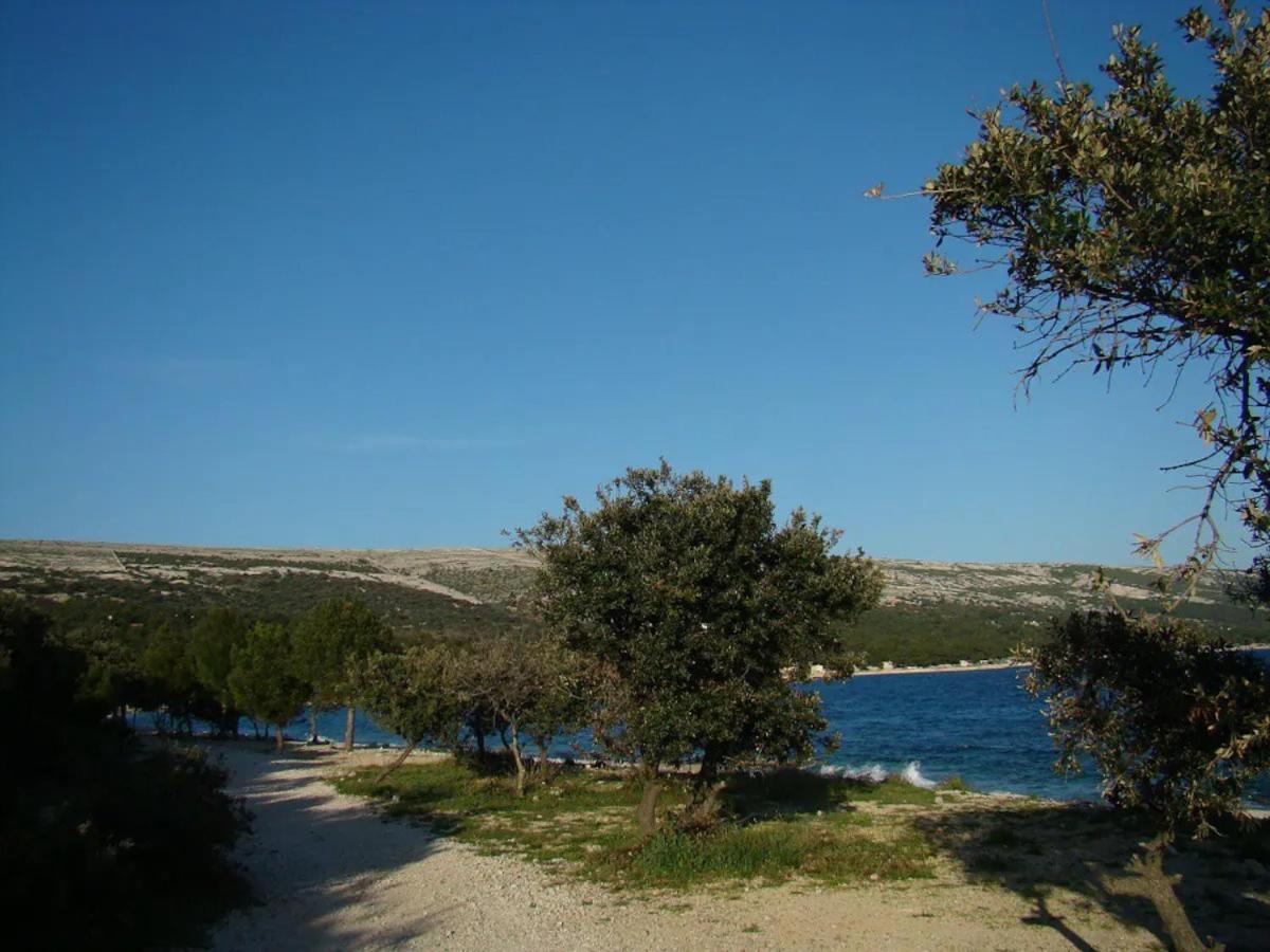 Davorka
