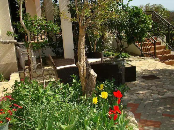 Apartment Davorka
